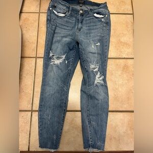 Womens plus Judy blue skinny blue jeans
